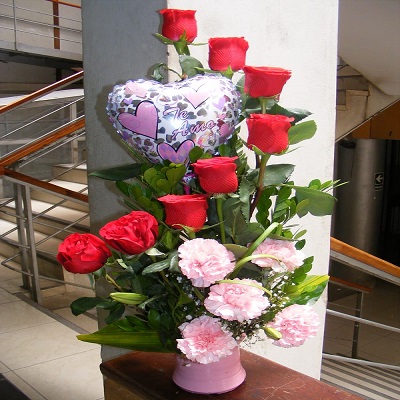 Balloflowers 