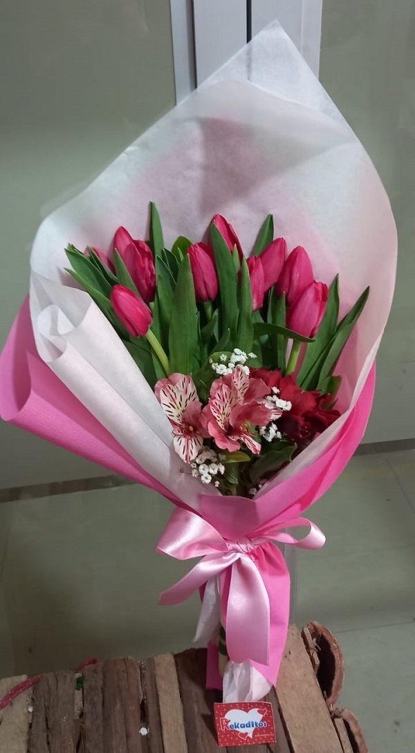 Tulip red