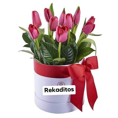 Imagen del producto