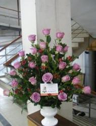 CETRO DE ROSAS