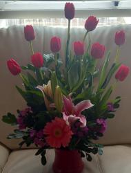 tulipan floral