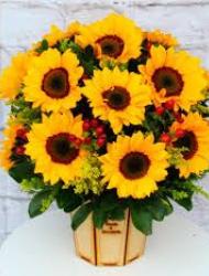 BOX GIRASOL 