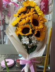 YOU GIRASOL