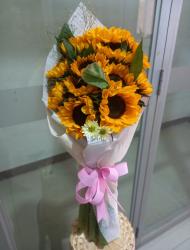 YOU GIRASOL