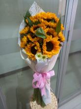 YOU GIRASOL