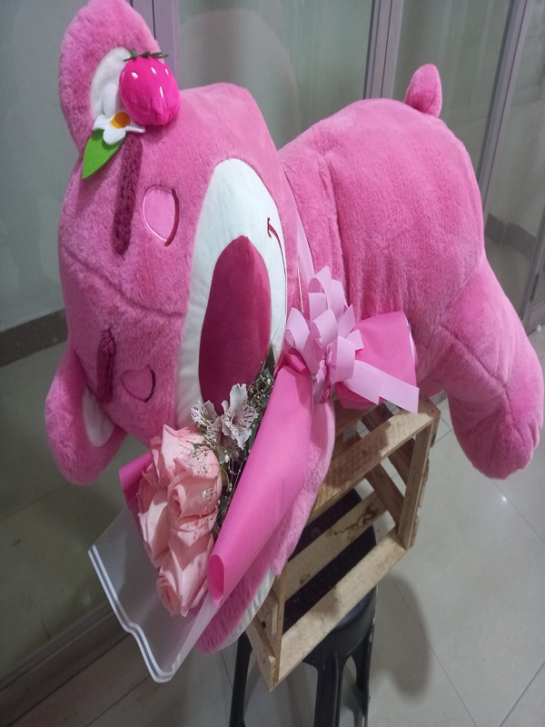Lotso Roses 